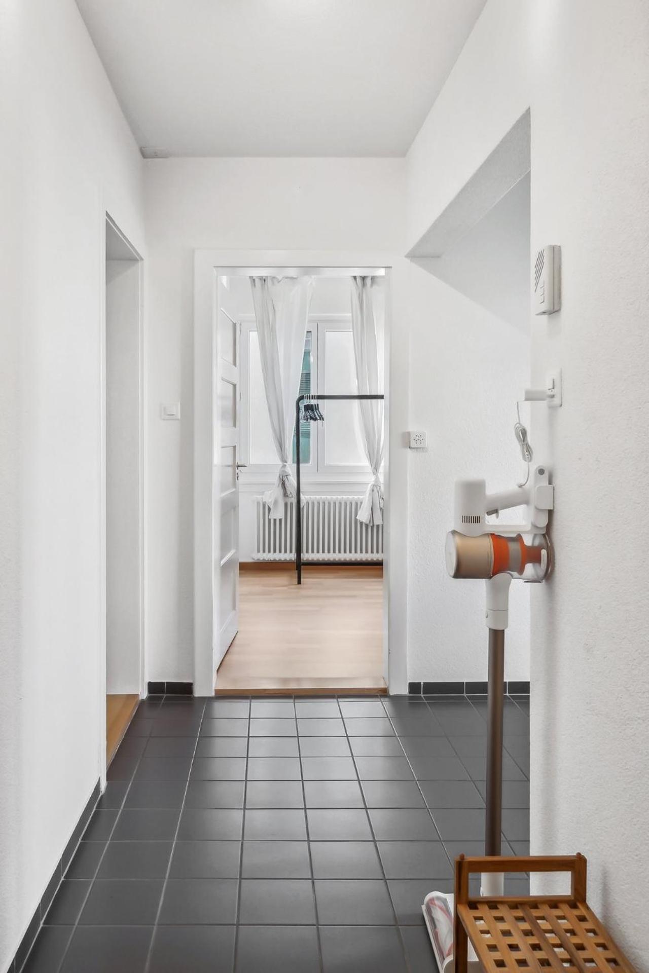 Comfortable Stay In Oerlikon 20 Minutes Away From Zurich Airport Buitenkant foto